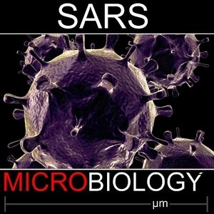 sars virus medical 3d model