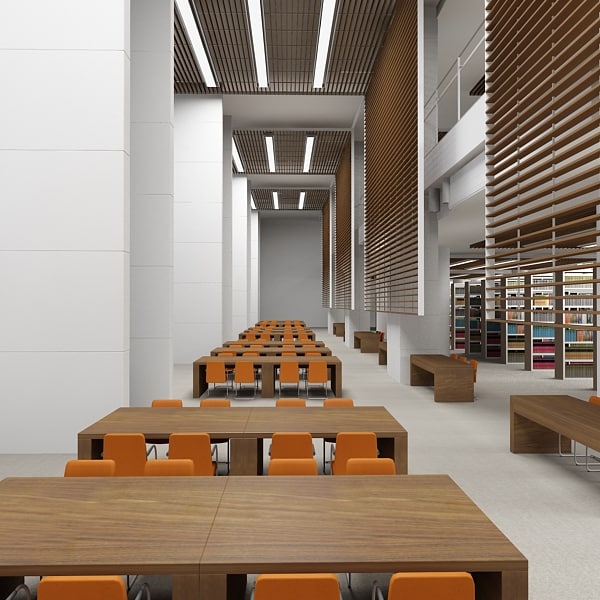 Library Version 3d Model