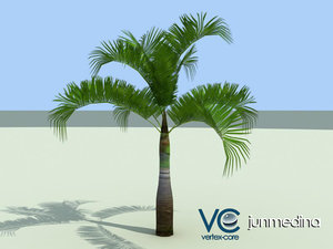 palm tree 3d max