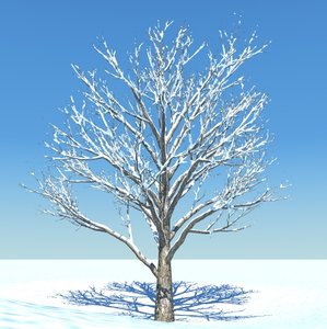 3d snow tree model