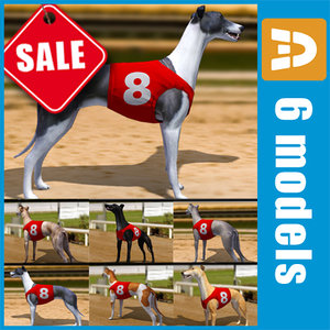 3d racing greyhounds number jackets