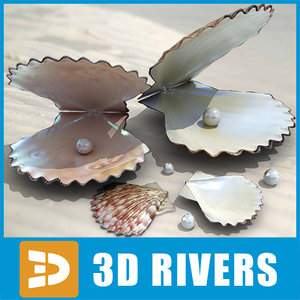 3d model pearl seashell sea