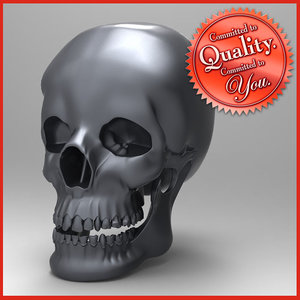 human skull 3ds