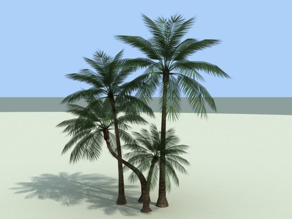 3d palm tree model