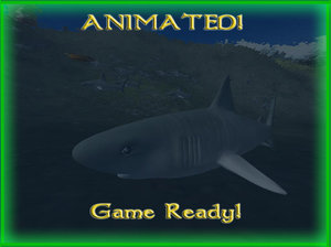tiger shark animations lod 3ds