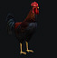 3d rooster