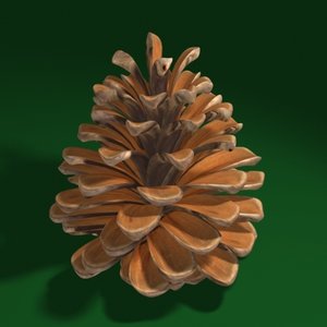 pine cone 3d model