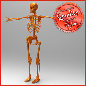obj human skeleton