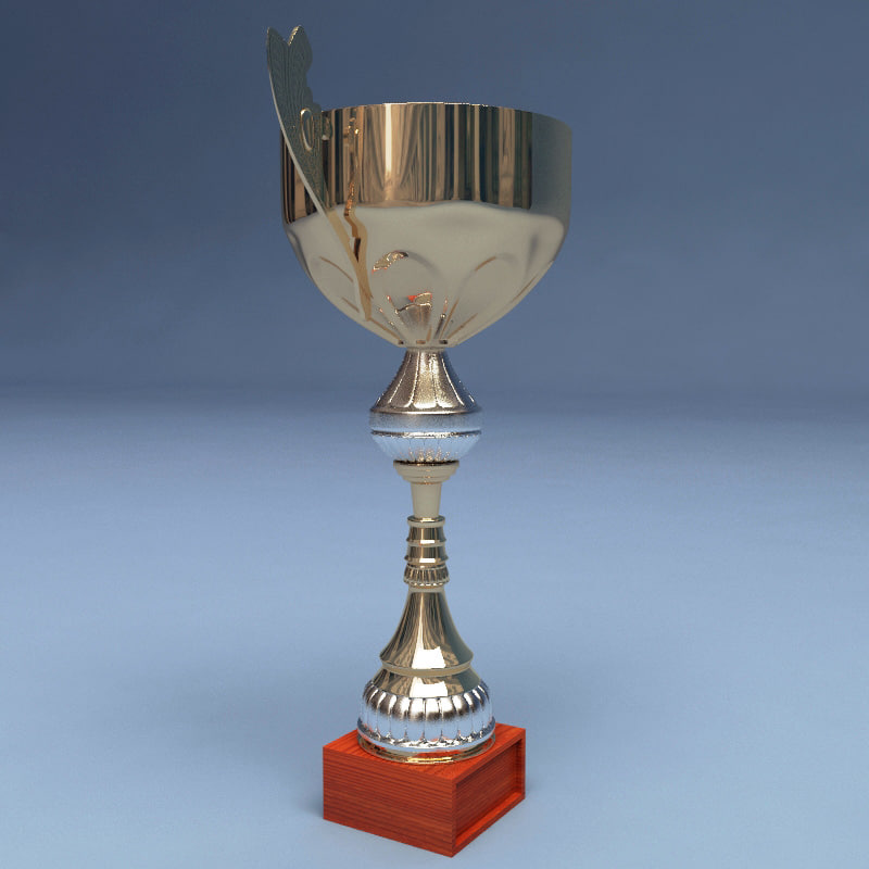 prize cup 3ds