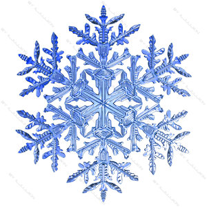 snowflake snow flake 3d model