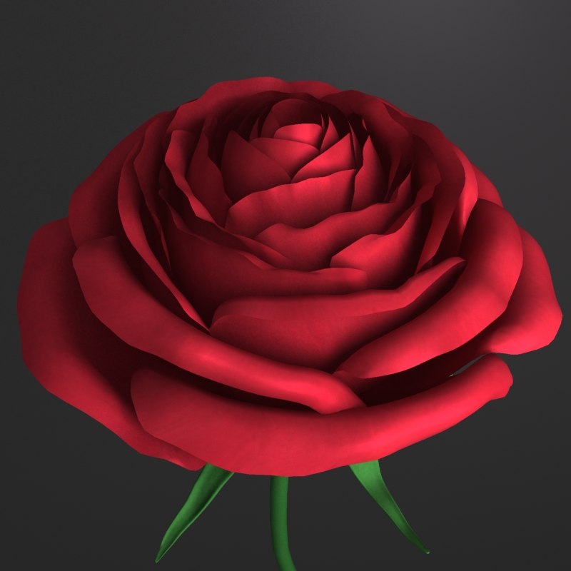 3d model red rose flower