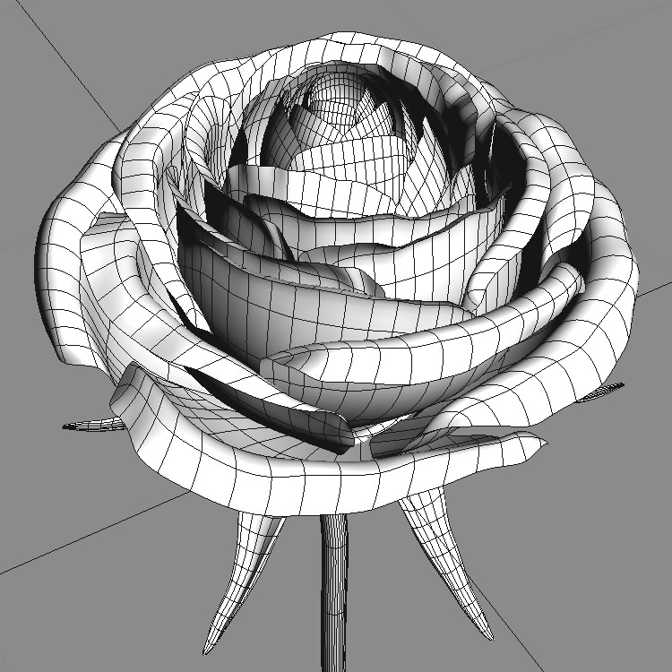 3d model red rose flower