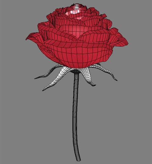 3d model red rose flower