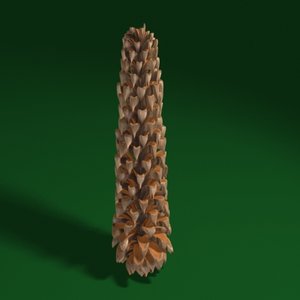3d pine cone