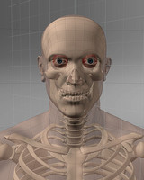 Human body with Skeleton