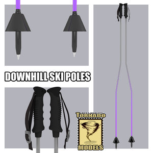 downhill ski poles giant 3d max