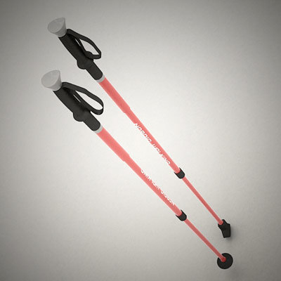 3d nordic walking stick model