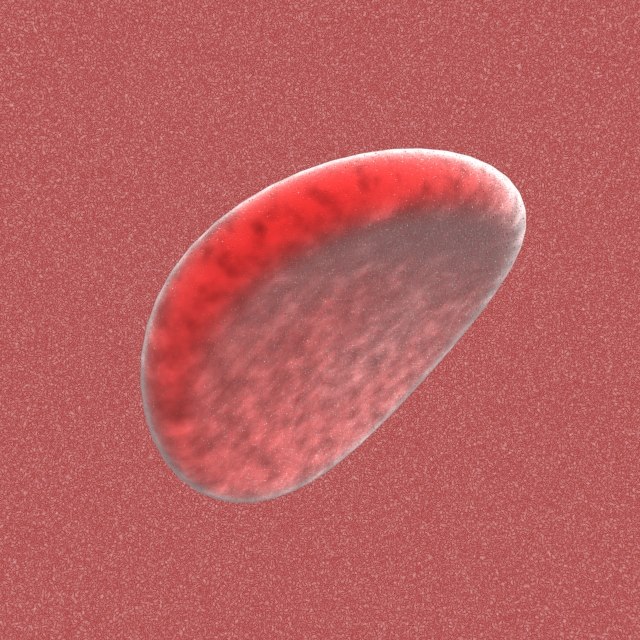 free blood cell 3d model https://static.turbosquid.com/Preview/2014/05/26__11_49_36/01.jpg9f723bbe-862b-450f-a890-cfae6e1cec88Original.jpg