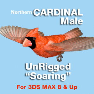 3ds max cardinal soaring position