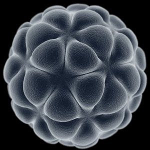 3dsmax concept microscopic cell 1
