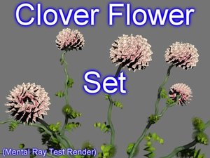 3d model set clover flowers
