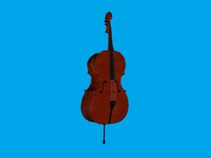 3d model musical instrument cello