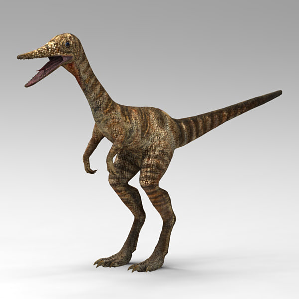 accurate compsognathus