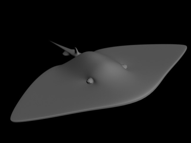 Southern Stingray Animation 3d Model