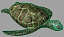 3d turtle realistic sea