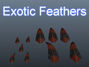 max exotic feathers
