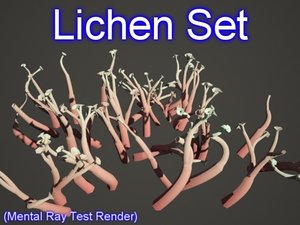 set lichen 3d 3ds