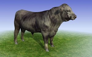 black bull 3d model