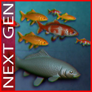 koi fish 3d max