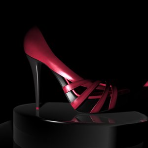 3d model of female shoes