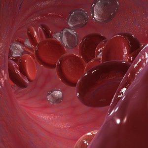 max blood flow cells