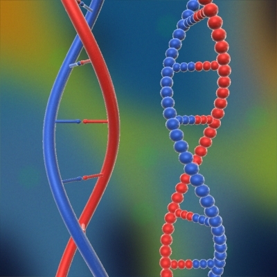 3d model dna strands