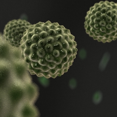 Pollen Cell Microscopic 3d Model