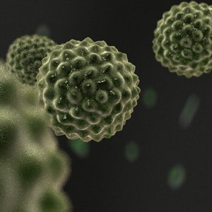 pollen cell microscopic 3d model
