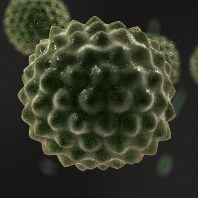 pollen cell microscopic 3d model