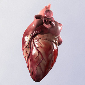 3ds max photorealistic heart