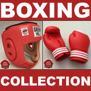 training boxing helmet gloves 3d max