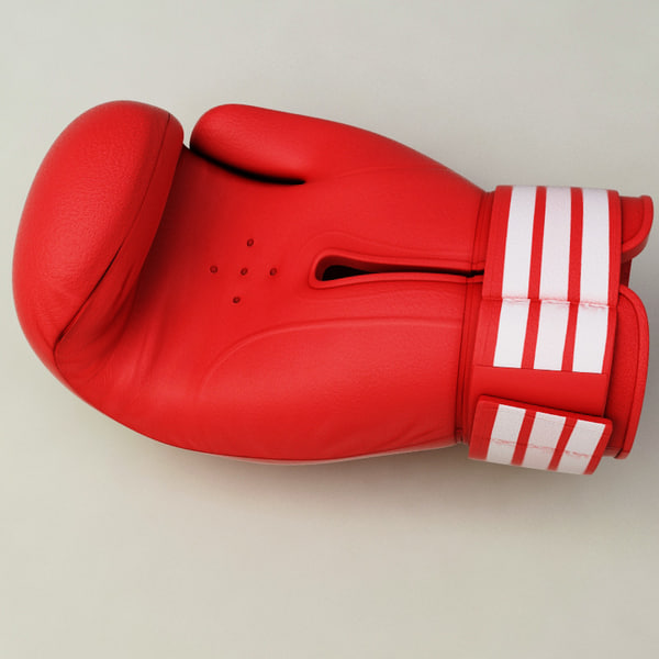 training boxing helmet gloves 3d max