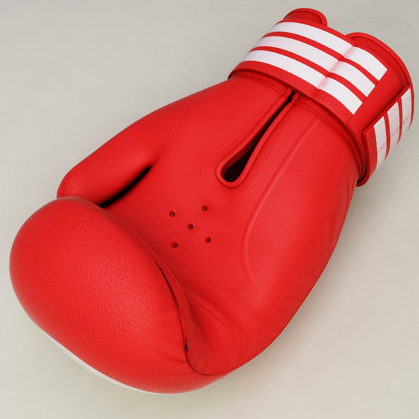 training boxing helmet gloves 3d max