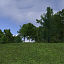 forest lined grassy terrain max