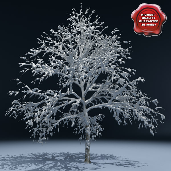 3d model winter tree v1