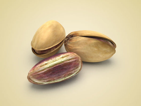 free pistachio nut 3d model