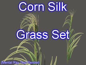 3d model set corn silk grasses