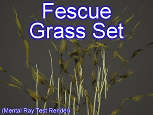 set fescue grasses 3ds