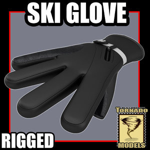 max ski glove