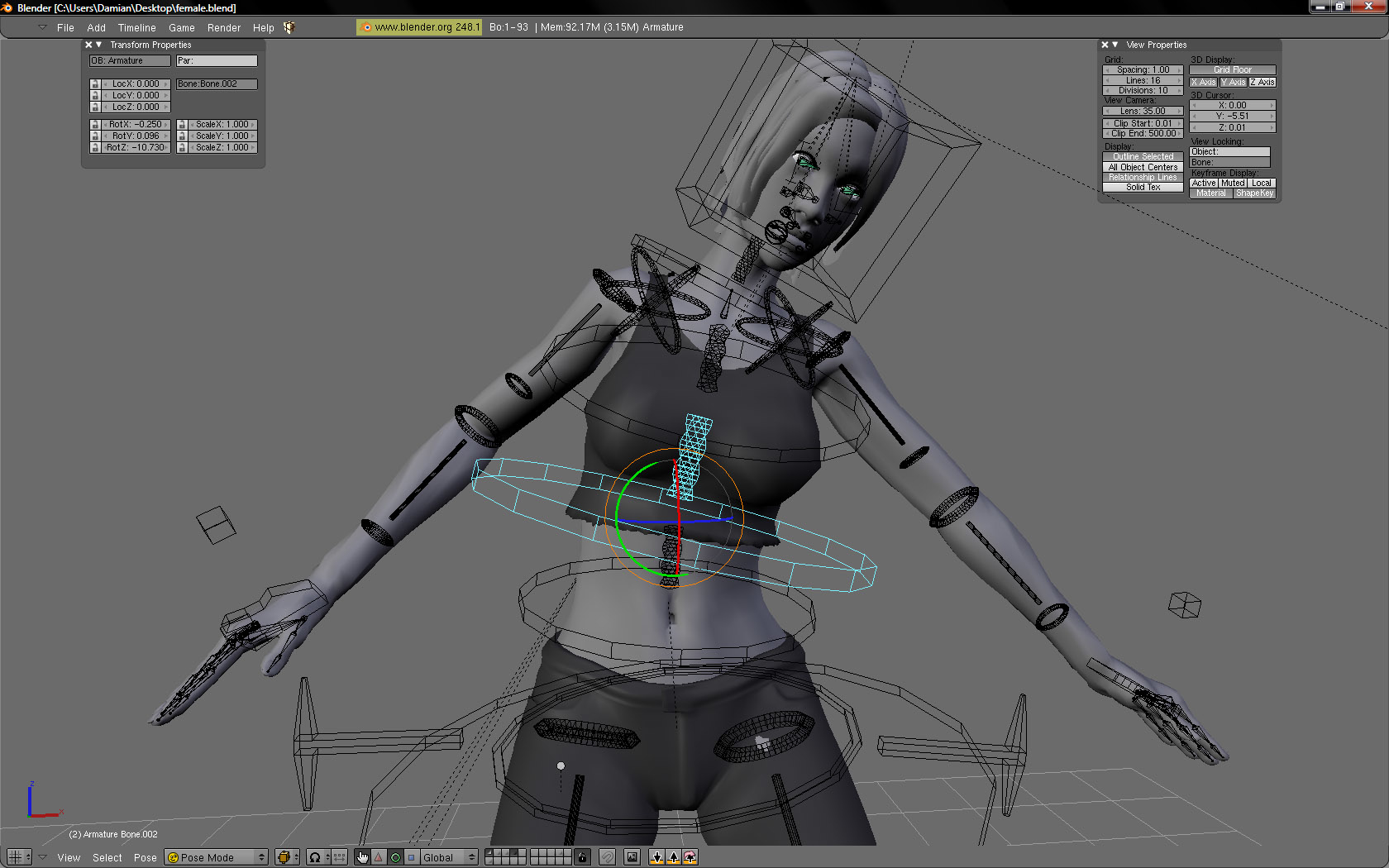 3d rigged female